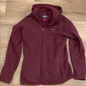 Patagonia Hooded Better Sweater